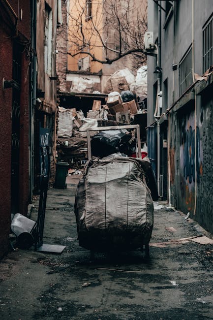 What to know about last minute rubbish pickups in Muswell Hill